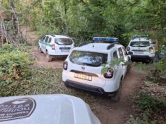 Вмешани директори и полицајци: Опустошиле 6.000 хектари шума, исекле дрва во вредност од над 6 милијарди денари