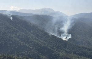 Нема активни пожари низ државата, под контрола е еден