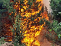 ДОМ бара измени на Кривичниот законик: Подметнувањето пожар да се третира како обид за убиство