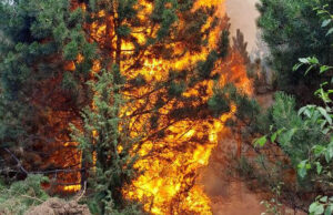 ДОМ бара измени на Кривичниот законик: Подметнувањето пожар да се третира како обид за убиство