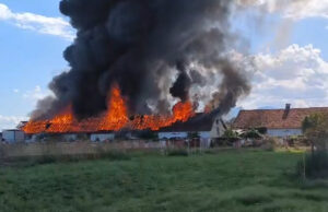 „Како во Кочани!“ – О2 алармира за складирање отпад во штала во населена улица во Трубарево
