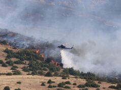 Борова шума гори во Берово, депонии во Прилеп и во Долнени во пламен, чади и во Вардариште