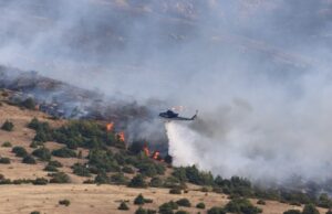 Борова шума гори во Берово, депонии во Прилеп и во Долнени во пламен, чади и во Вардариште