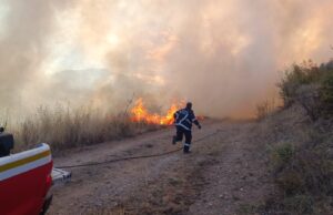 Голем пожар изби над скопско Батинци, брзо се шири поради силниот ветер
