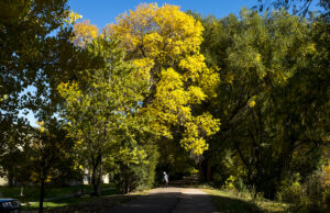 Утре со ведро и посвежо утро, преку денот сончево