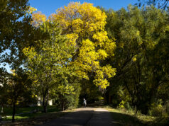 Утре претежно сончево, кон крајот на денот зголемена облачност