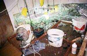 Откриена импровизирана лабораторија за производство на дрога во Неготино