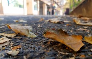 Времето денеска променливо облачно со сончеви периоди