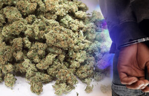 Претрес во Радовиш, пронајдена марихуана, лишено од слобода едно лице