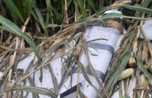 Сомнителен дрон пронајден во Полска, војската на терен