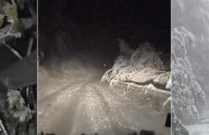 (Видео) Србија под снег: делови од земјата затрупани, патиштата блокирани