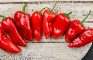 Пиперки од Македонија се повлекуваат од хрватскиот пазар