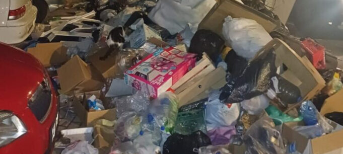 Screenshot-2025-10-24-121526