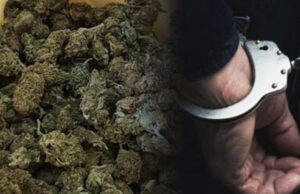 Претрес во Струмичко: Пронајдена марихуана, уапсен 29-годишник