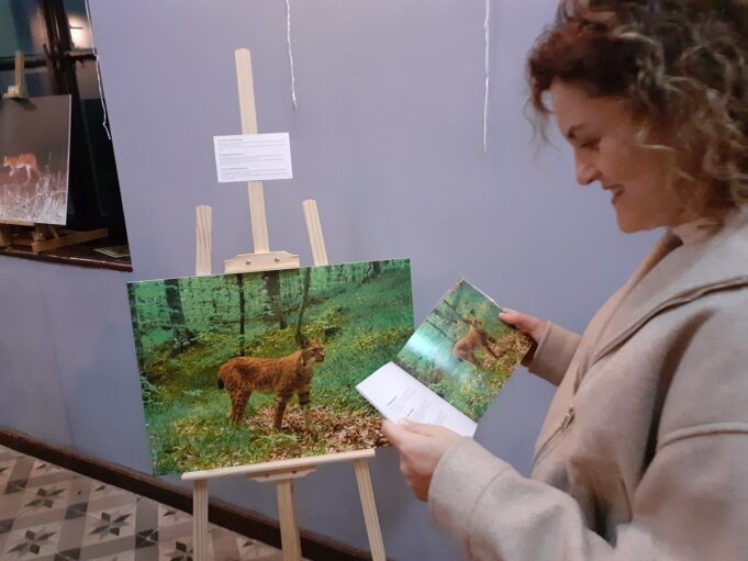 balkanski-ris-izlozba