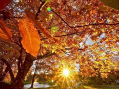 Утре наутро со магла по котлините, преку денот сончево, со температури до 23 степени