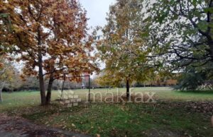 Сончево со мала до умерена локална облачност, максималната температура до 20 степени