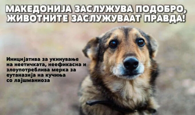 Screenshot-2025-10-29-113527