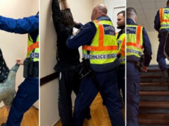 Тројца мажи силувале 18-годишно девојче со часови во Унгарија: нејзиниот познаник снимал