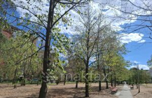 Утре наутро претежно ведро и студено, преку денот сончево