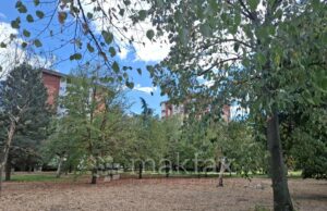 Утре сончево време со температура до 21 степен