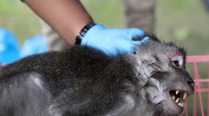 Screenshot-2025-10-29-123125