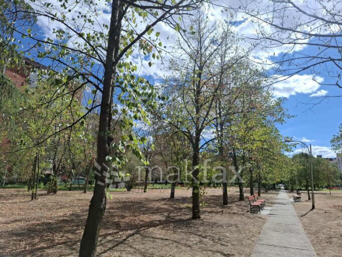 septemvri-leto-esen-drvja-3