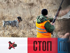 Трагична несреќа во Конче: 46-годишен маж убиен за време на лов, бил застрелан во стомакот и раката