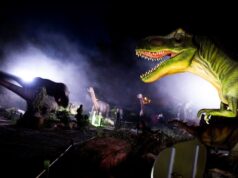 Само еден месец по отворањето Штип го издава Дино паркот под ќирија на 15 години