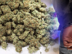 Уапсен скопјанец: при претрес во неговиот дом во Кисела Вода пронајдена дрога