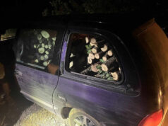 Превезувал дрва со возило без регистарски таблички па се обидел да ги удри и полициските службеници