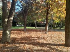 Утре со студено утро, преку денот сончево