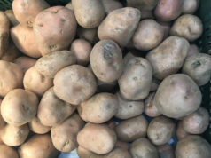 Струмичани украле 160 вреќи компир од камион