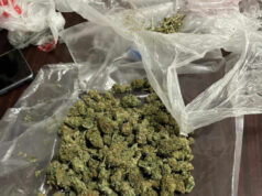 (Видео) Уапсен скопјанец, при преглед кај него и престрес на дом пронајдени околу два килограми марихуана