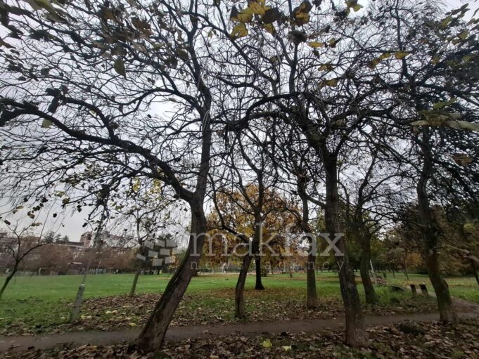 oblacno-esen-skopje-nasha-2