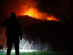 Пожар зафати над 1.000 хектари шума во Нов Зеланд