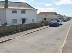 Куче уби деветмесечно бебе во Велика Британија