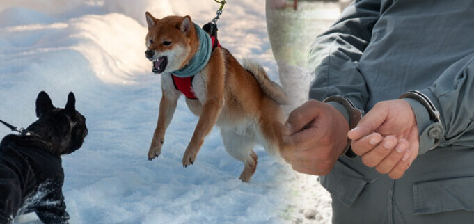 screenshot-2025-11-03-090615