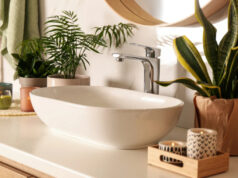 (Фото) Три растенија се идеални за бањата: го разубавуваат просторот, а се и корисни