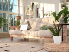 (Фото) Кралици на издржливоста: растенија кои успеваат дури и ако заборавите на нив