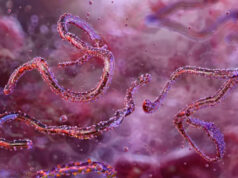 Етиопија ја потврди првата епидемија на вирусот Марбург