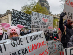 Тридневен национален штрајк во Белгија: нема да работат јавниот превоз, железниците, градинките, училиштата, болниците