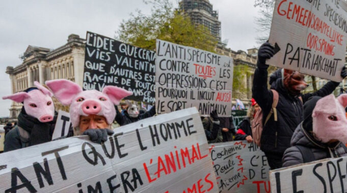 screenshot-2025-11-24-112534