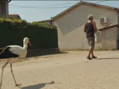 (Видео) До понеделник е гласањето за „Силјан“ за престижната „Cinema eye honors audience award“