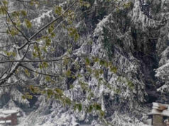 Студено утро, во Маврово снег и температури под нулата