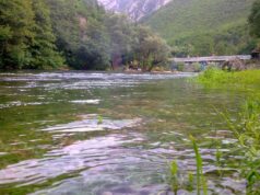 Водостоите на реките над просек, рекордни зголемувања кај Треска и Сатеска