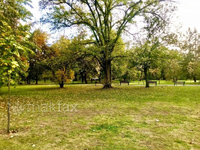 meteo-park-sonce-800x600-1