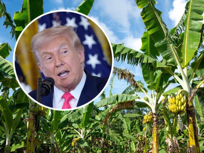 screenshot-2025-11-14-091400