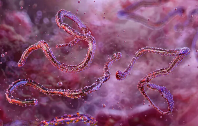 screenshot-2025-11-16-101758