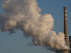 „Зелен хуман град“ ќе поднесе иницијатива до Уставниот суд за Законот за контрола на индустриски емисии